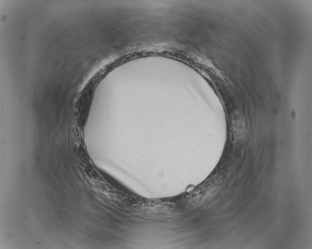 X0000062841256200602031553