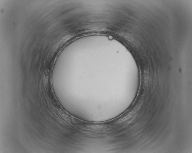 X0000062841257200602031553