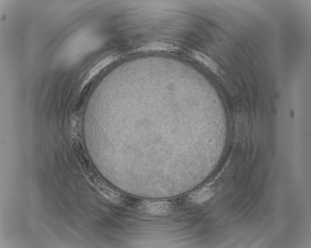 X0000062841258200602031553