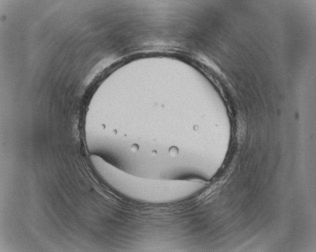 X0000062841259200602031553