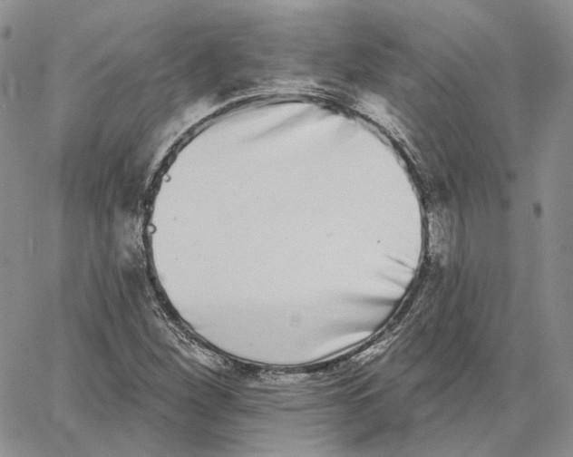 X0000062841260200602031553