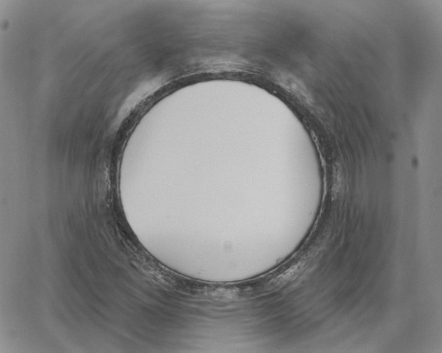 X0000062841261200602031553