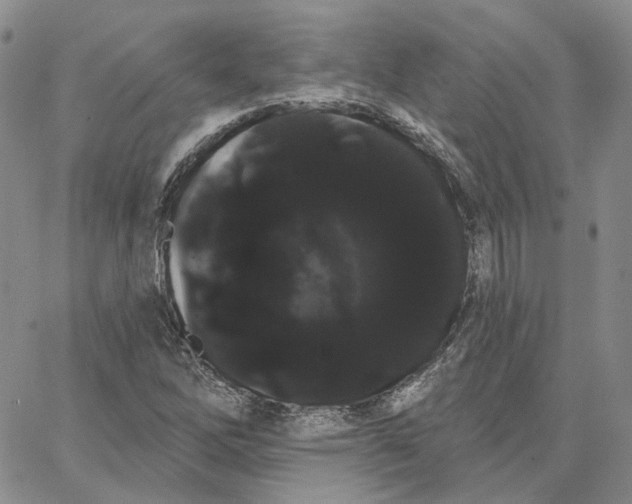 X0000062841262200602031553