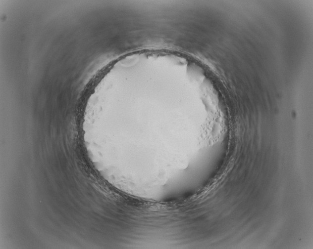 X0000062841263200602031553