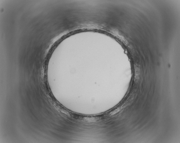 X0000062841264200602031553