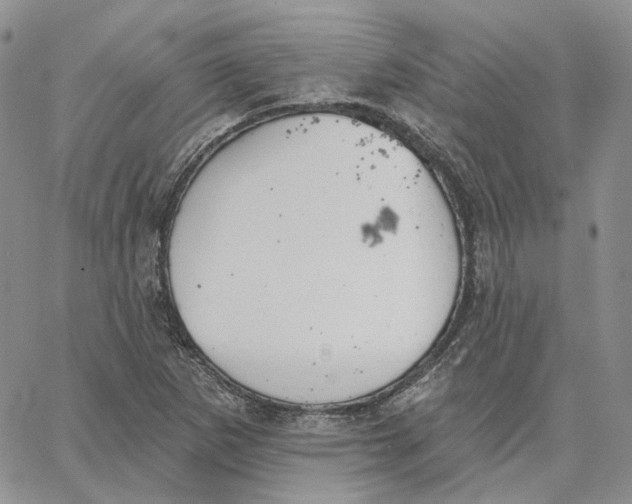 X0000062841265200602031553