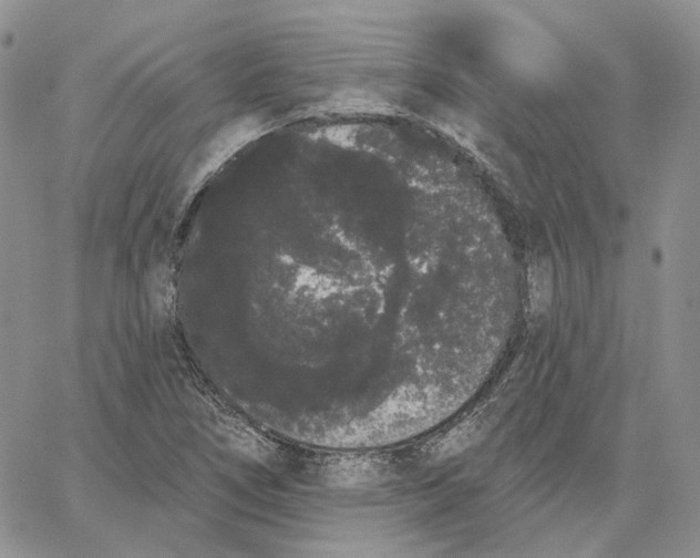 X0000062841266200602031553