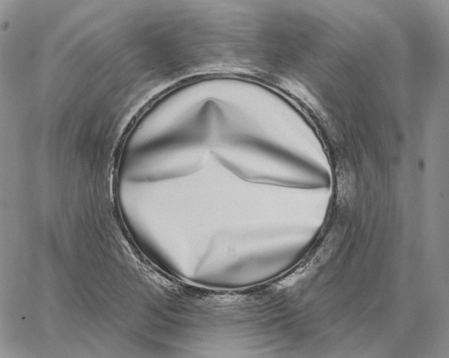 X0000062841268200602031553