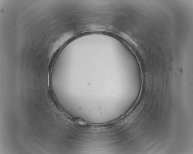 X0000062841269200602031553