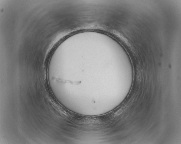 X0000062841270200602031553