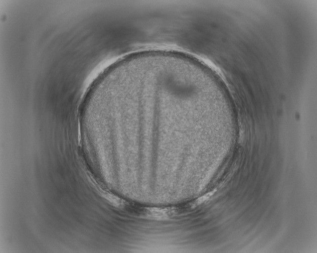 X0000062841271200602031553