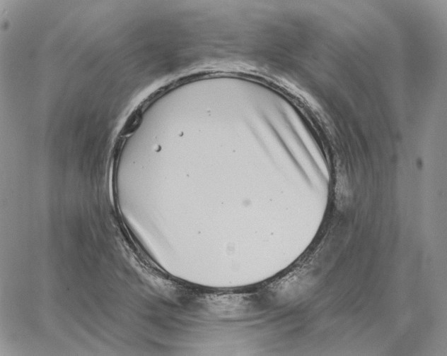 X0000062841272200602031553