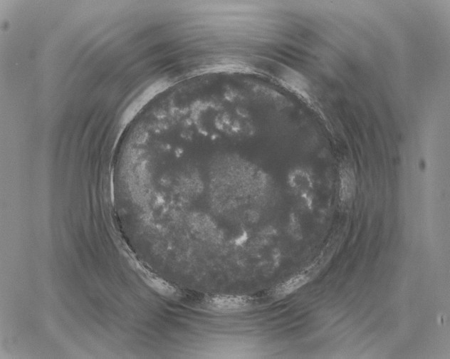 X0000062841274200602031553