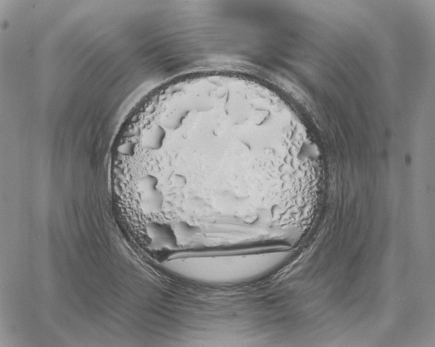 X0000062841275200602031553