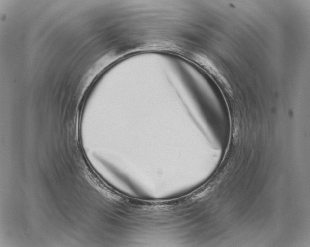 X0000062841276200602031553