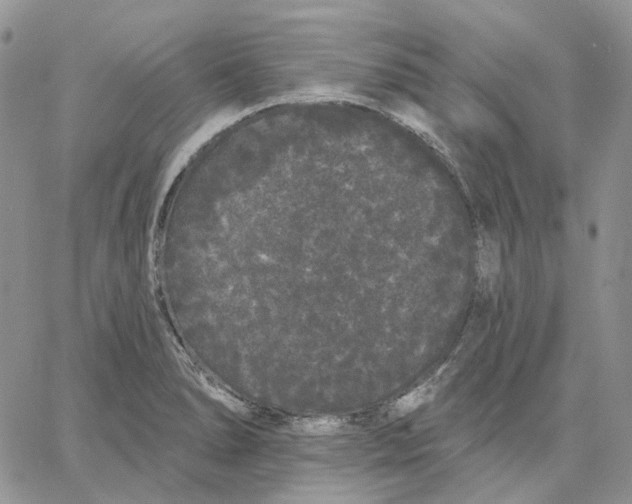 X0000062841278200602031553