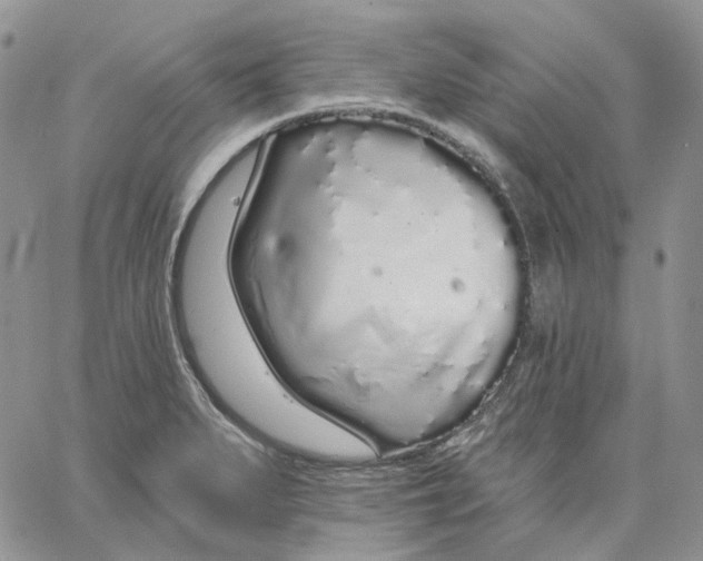 X0000062841279200602031553