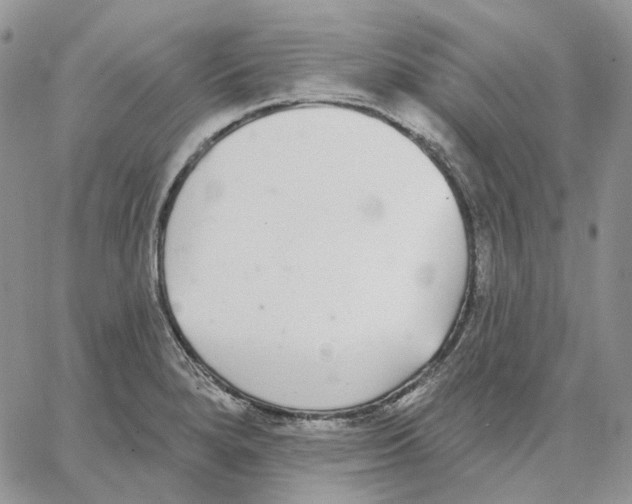 X0000062841280200602031553