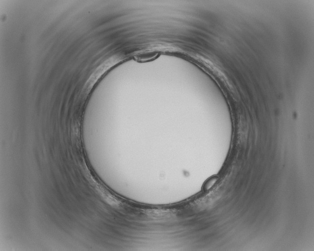 X0000062841281200602031553