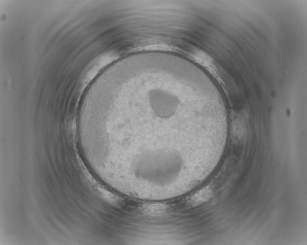 X0000062841282200602031553