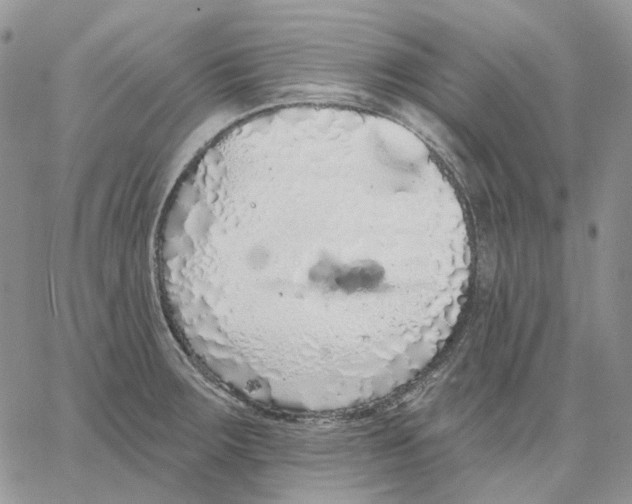 X0000062841283200602031553