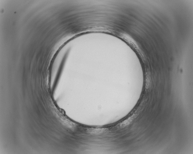 X0000062841284200602031553