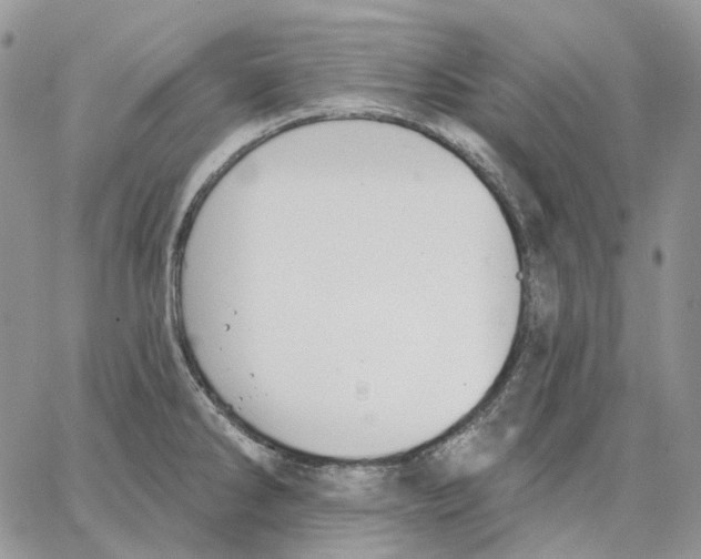 X0000062841286200602031553