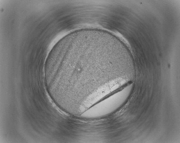 X0000062841287200602031553