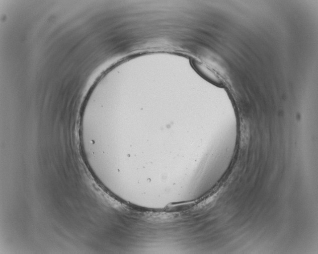 X0000062841288200602031553