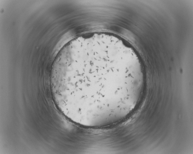 X0000062841289200602031553