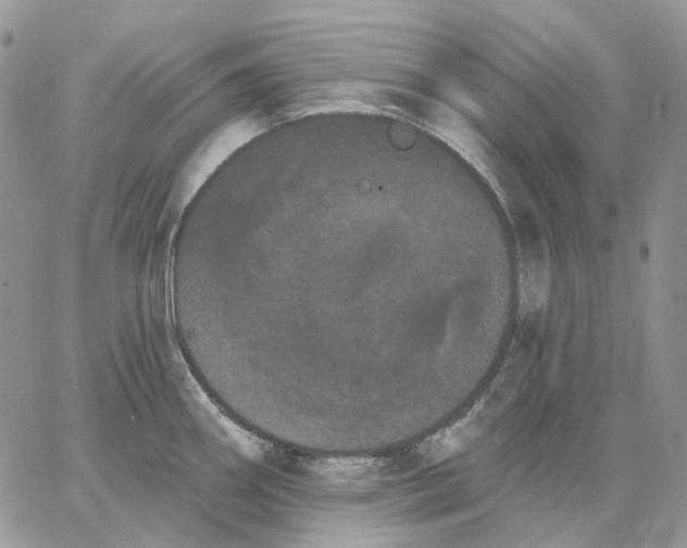 X0000062841290200602031552