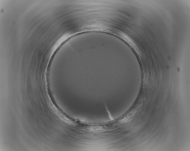 X0000062841291200602031552