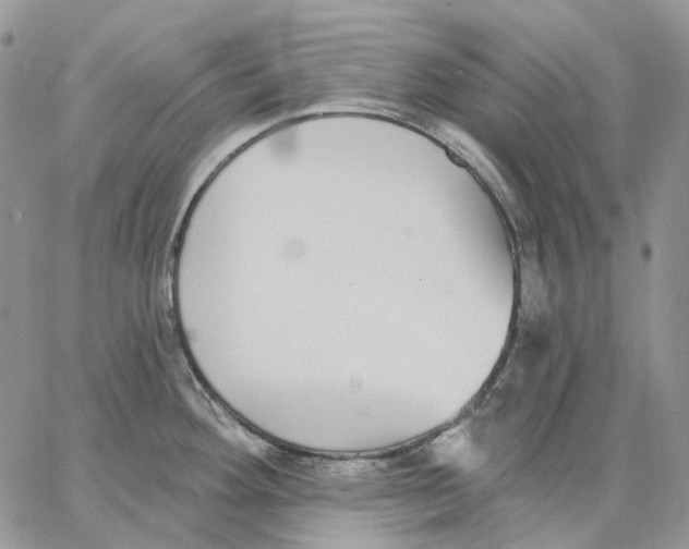 X0000062841292200602031552