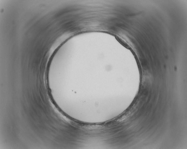 X0000062841293200602031552