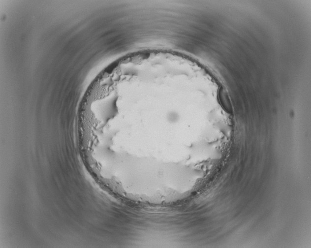 X0000062841295200602031552