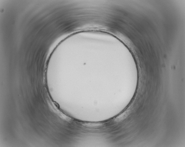 X0000062841296200602031552