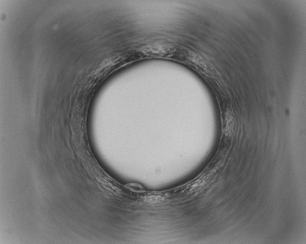 X0000062841297200602031552