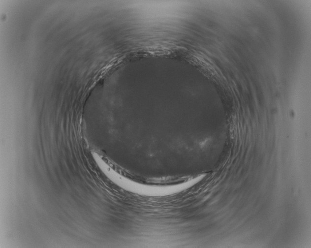 X0000062841298200602031552