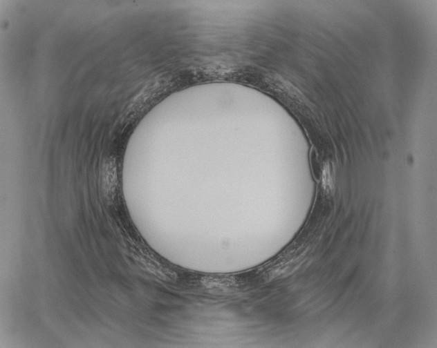 X0000062841299200602031552