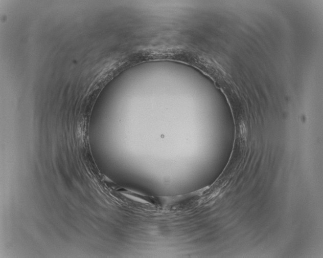 X0000062841300200602031552