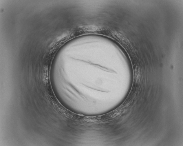 X0000062841301200602031552