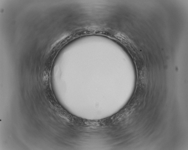 X0000062841302200602031552