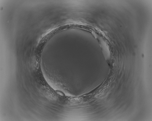 X0000062841303200602031552