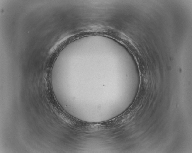 X0000062841304200602031552