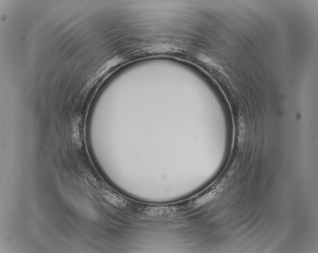 X0000062841305200602031552