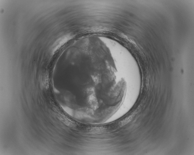 X0000062841306200602031552