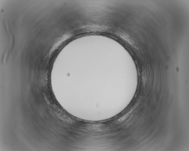 X0000062841309200602031552