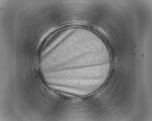 X0000062841310200602031552