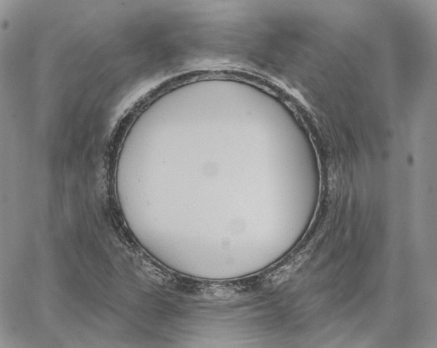 X0000062841311200602031552