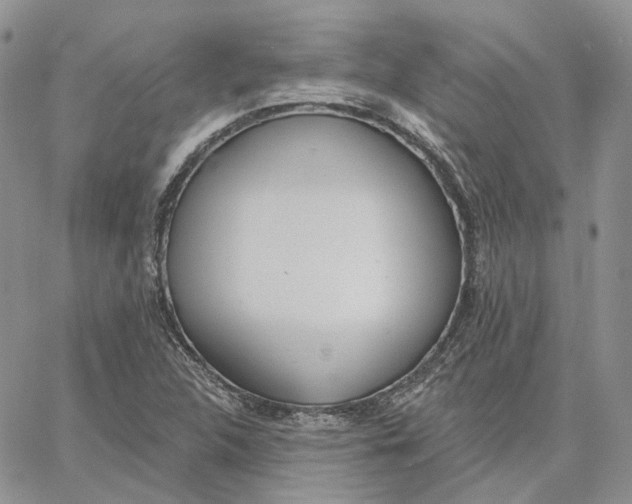 X0000062841312200602031552